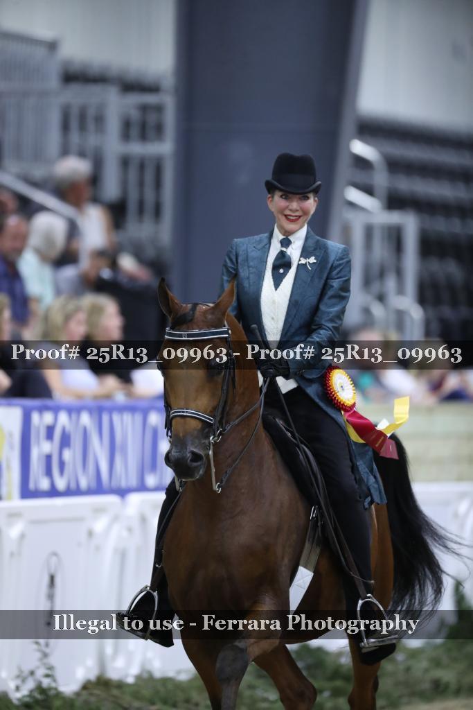 Proof 25R13_09963