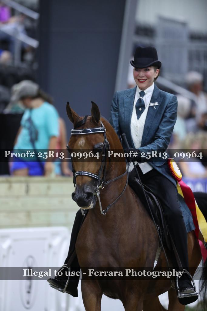 Proof 25R13_09964