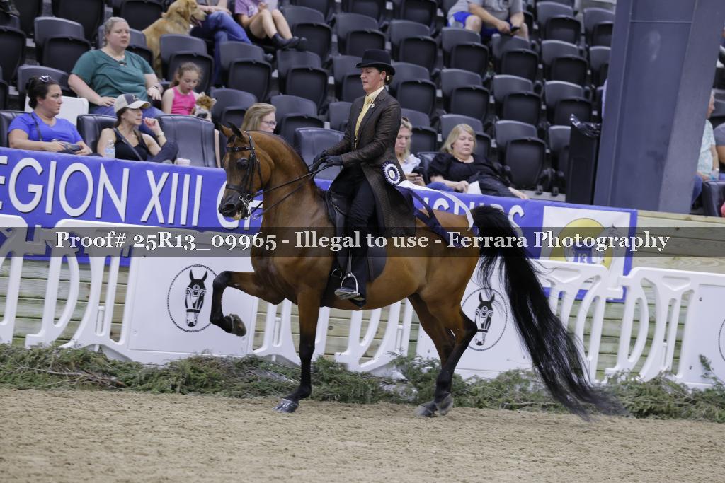 Proof 25R13_09965
