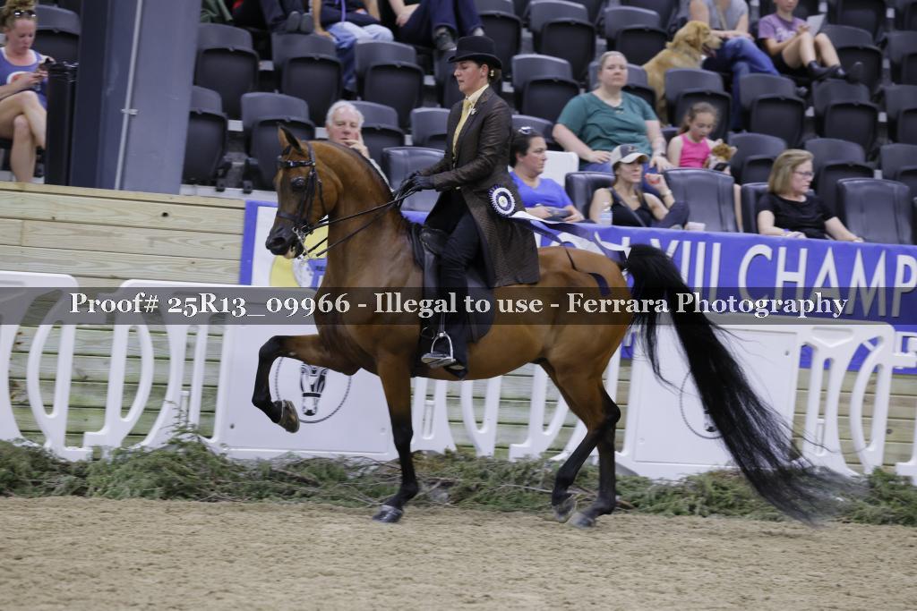 Proof 25R13_09966
