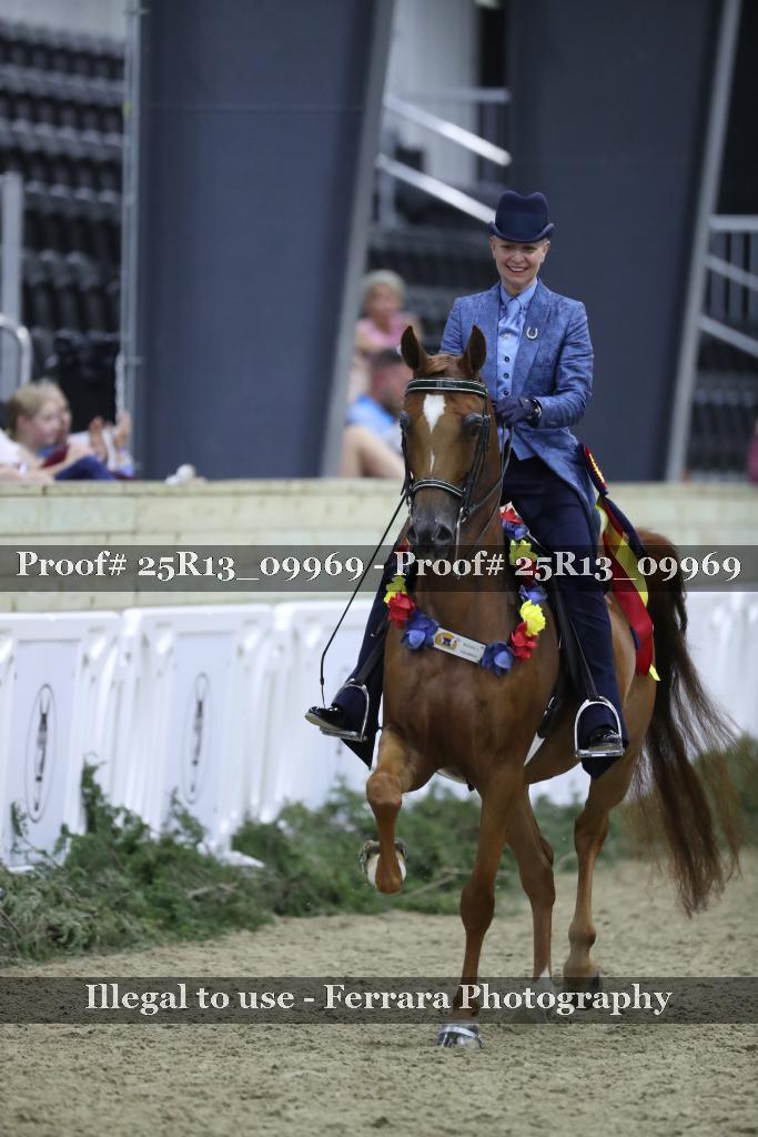 Proof 25R13_09969