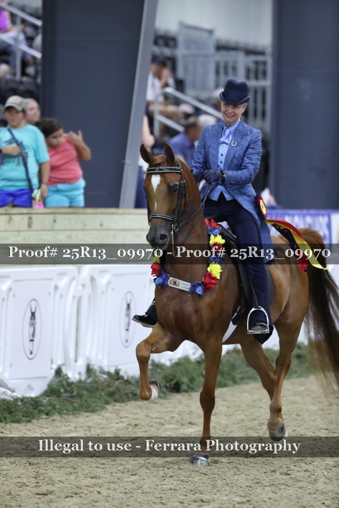 Proof 25R13_09970