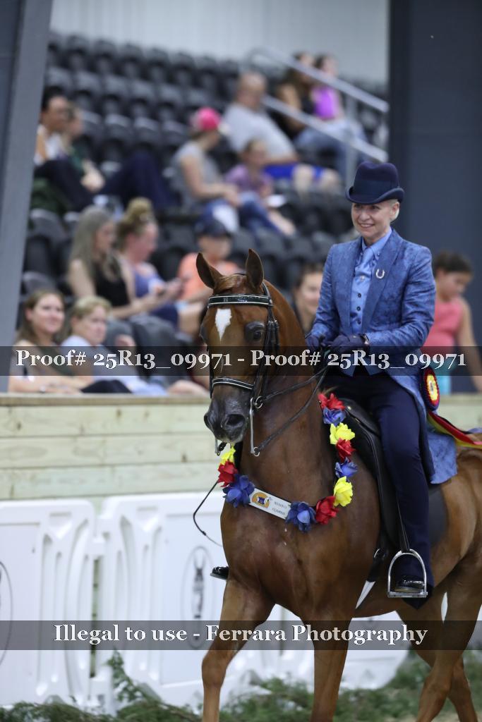 Proof 25R13_09971
