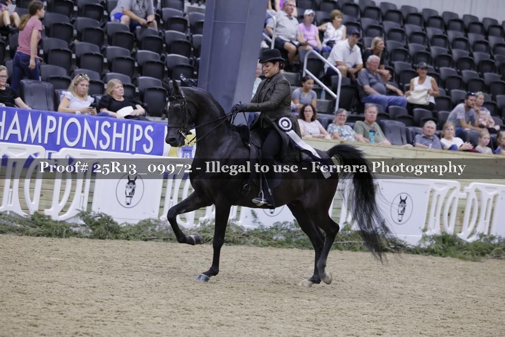 Proof 25R13_09972