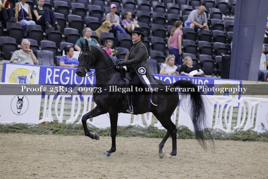 Proof 25R13_09973