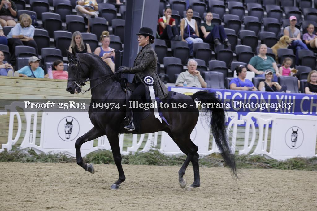 Proof 25R13_09974