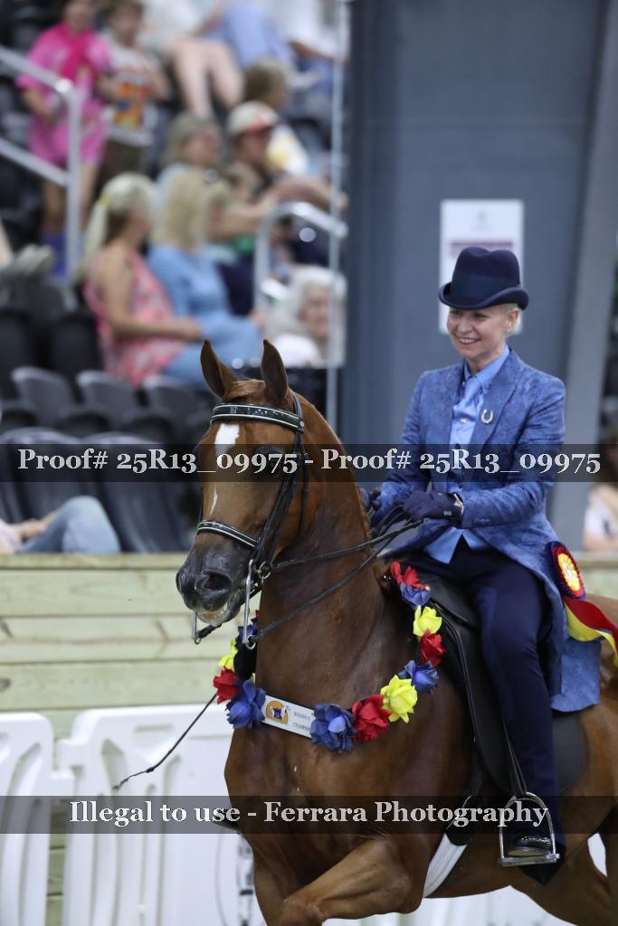 Proof 25R13_09975