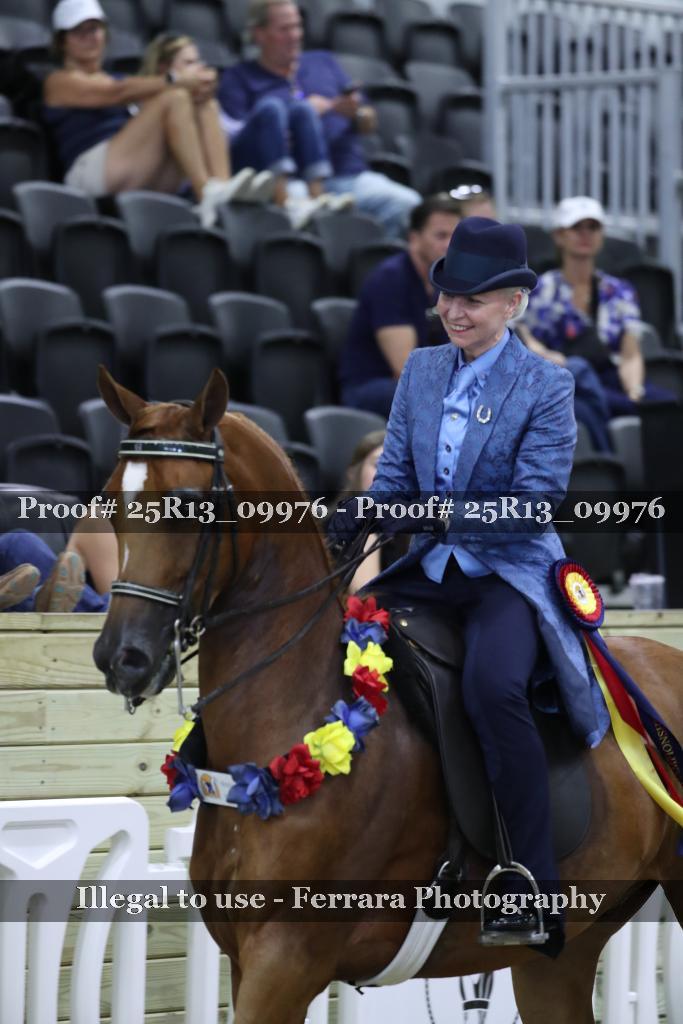 Proof 25R13_09976