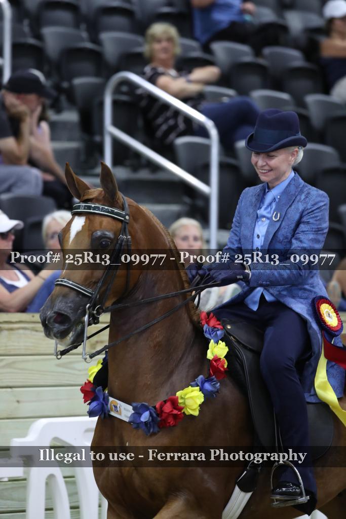 Proof 25R13_09977