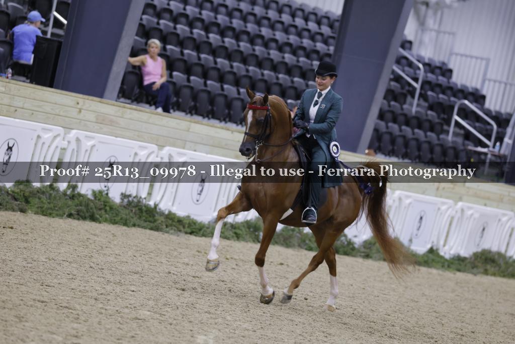 Proof 25R13_09978