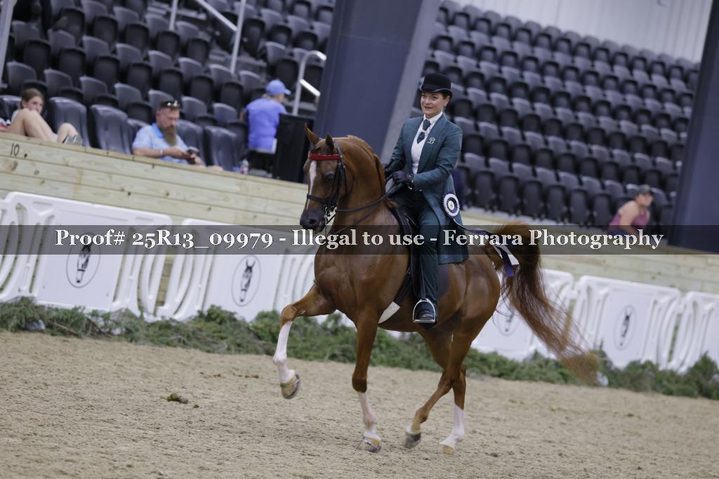 Proof 25R13_09979