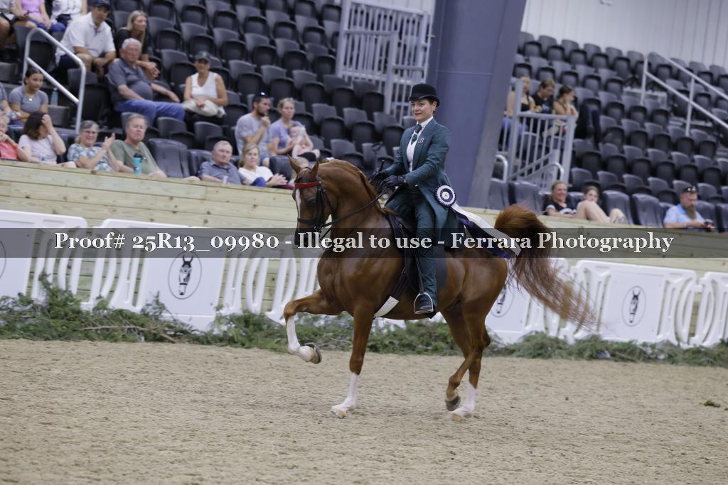 Proof 25R13_09980