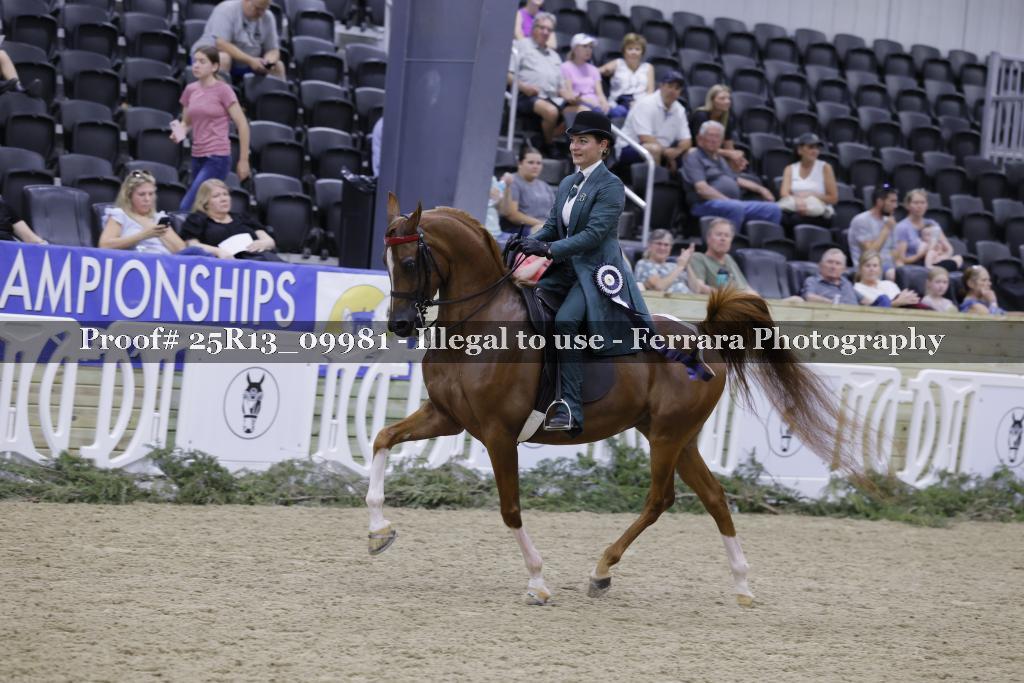 Proof 25R13_09981