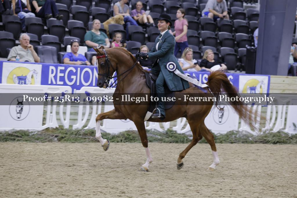 Proof 25R13_09982