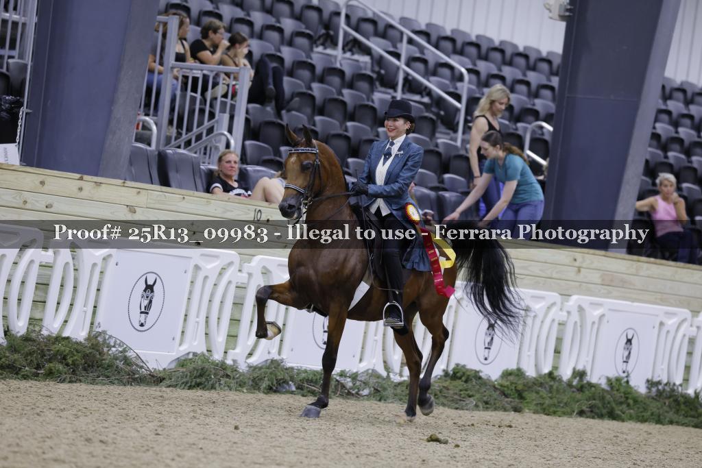Proof 25R13_09983