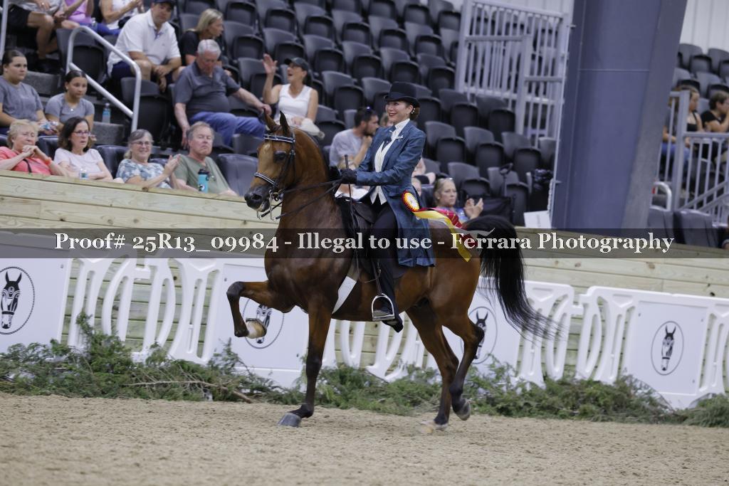 Proof 25R13_09984