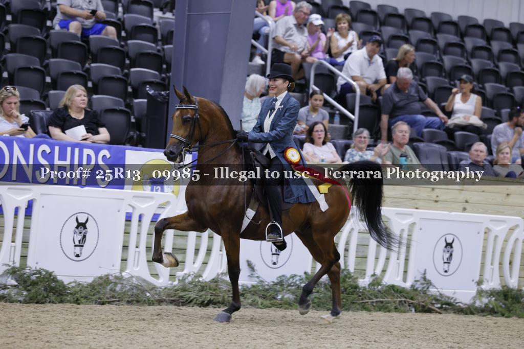 Proof 25R13_09985