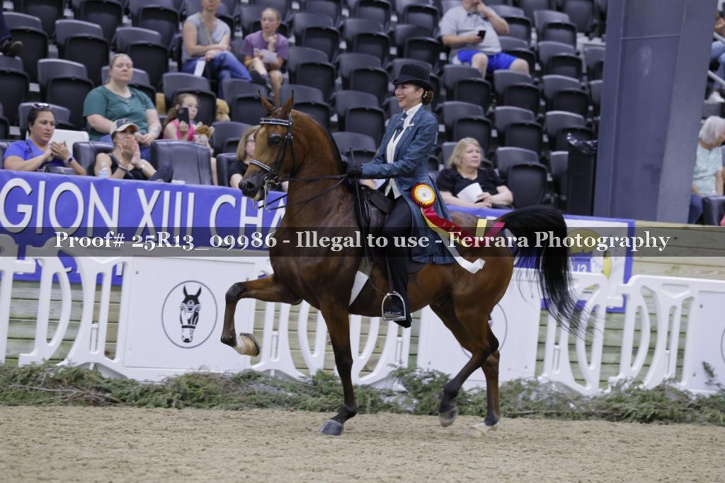 Proof 25R13_09986