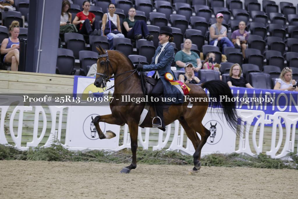 Proof 25R13_09987