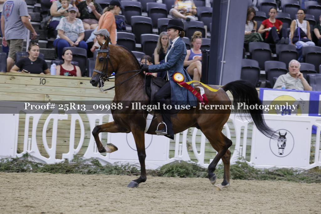 Proof 25R13_09988