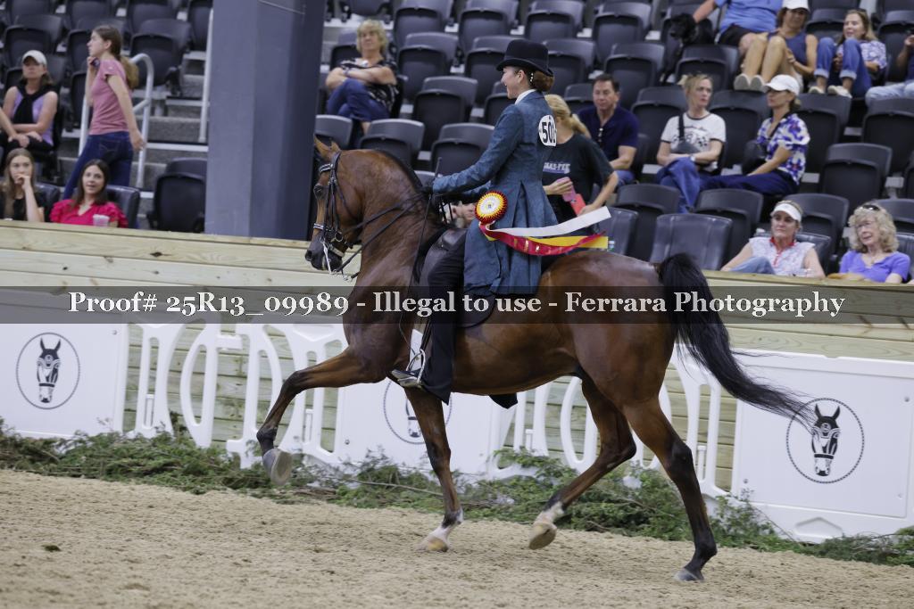 Proof 25R13_09989