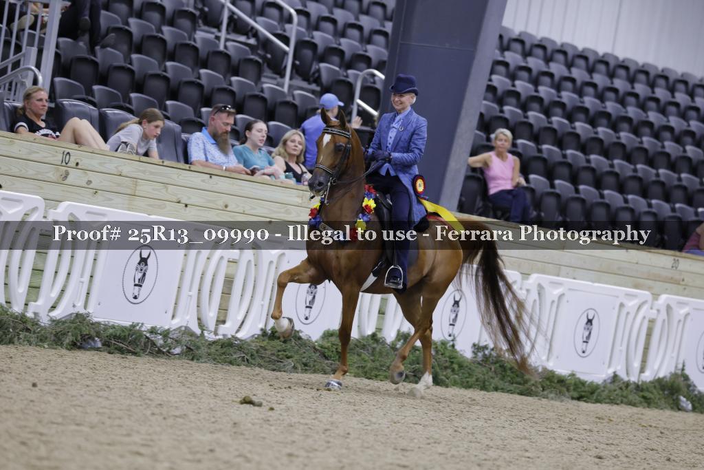 Proof 25R13_09990