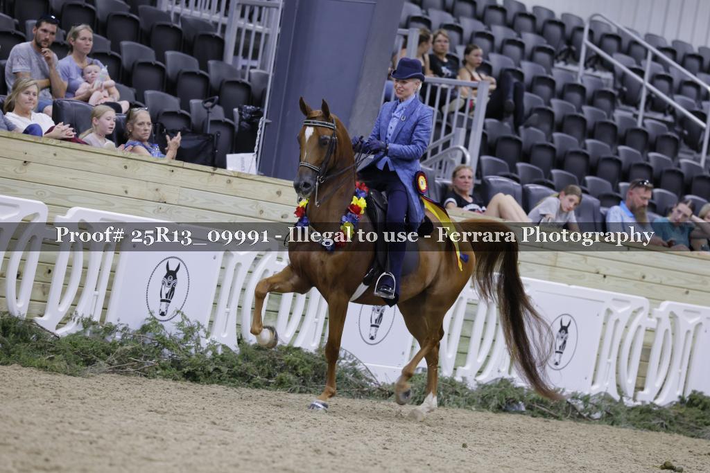 Proof 25R13_09991