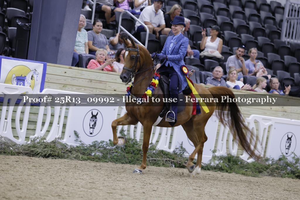 Proof 25R13_09992