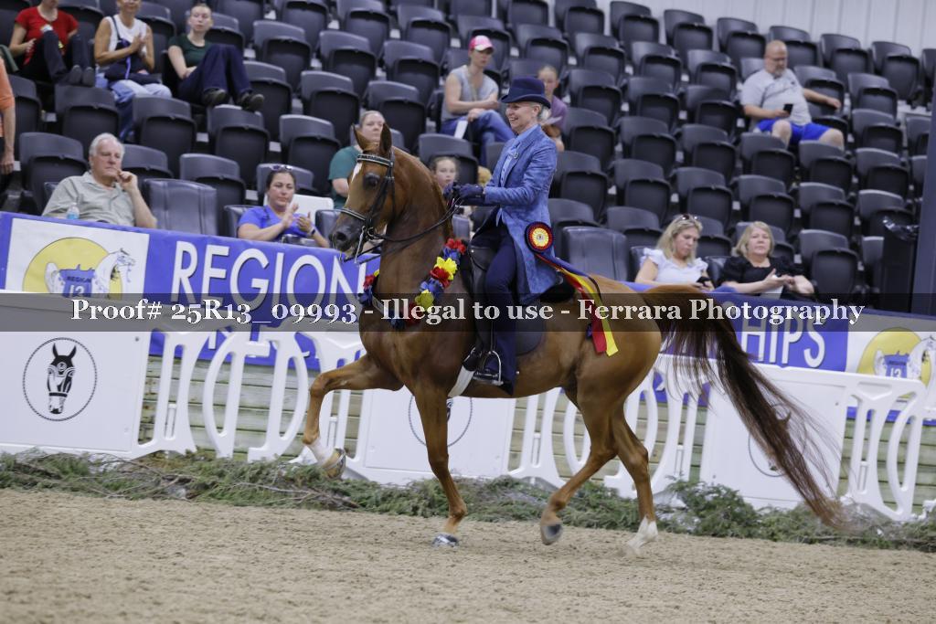 Proof 25R13_09993