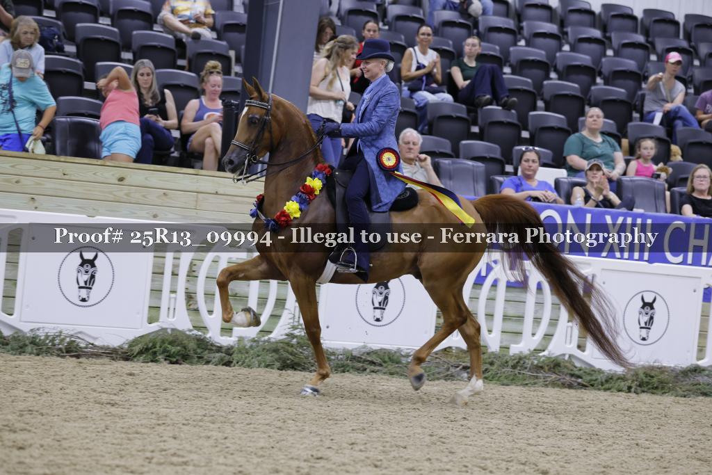 Proof 25R13_09994