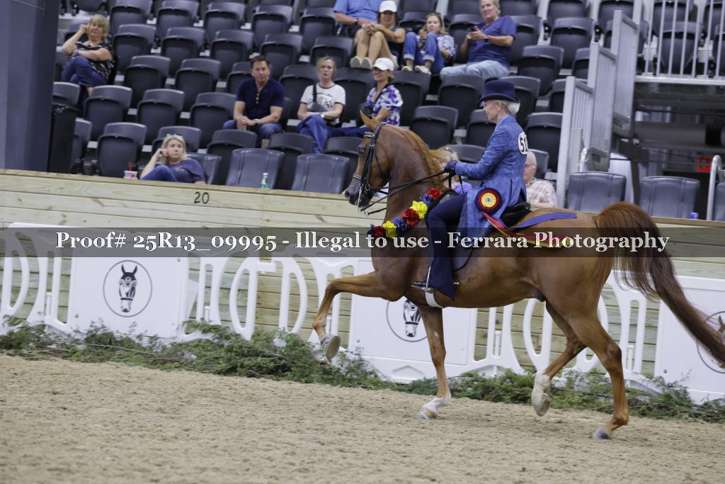 Proof 25R13_09995
