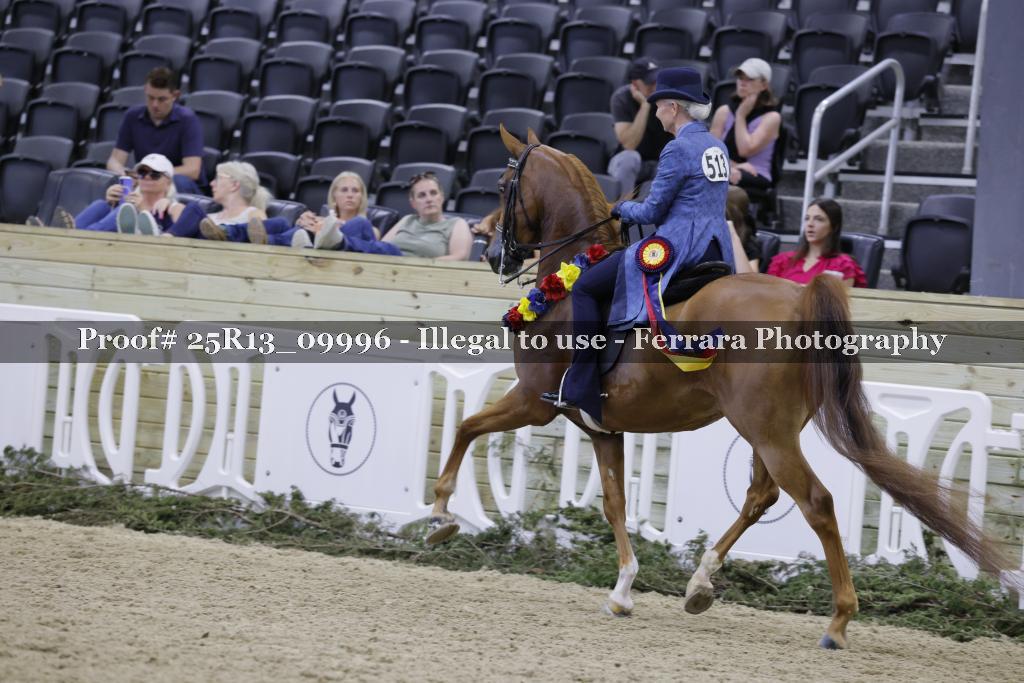 Proof 25R13_09996