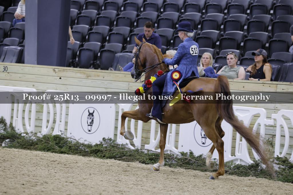 Proof 25R13_09997