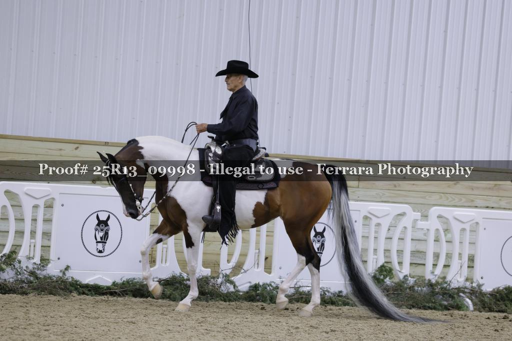 Proof 25R13_09998