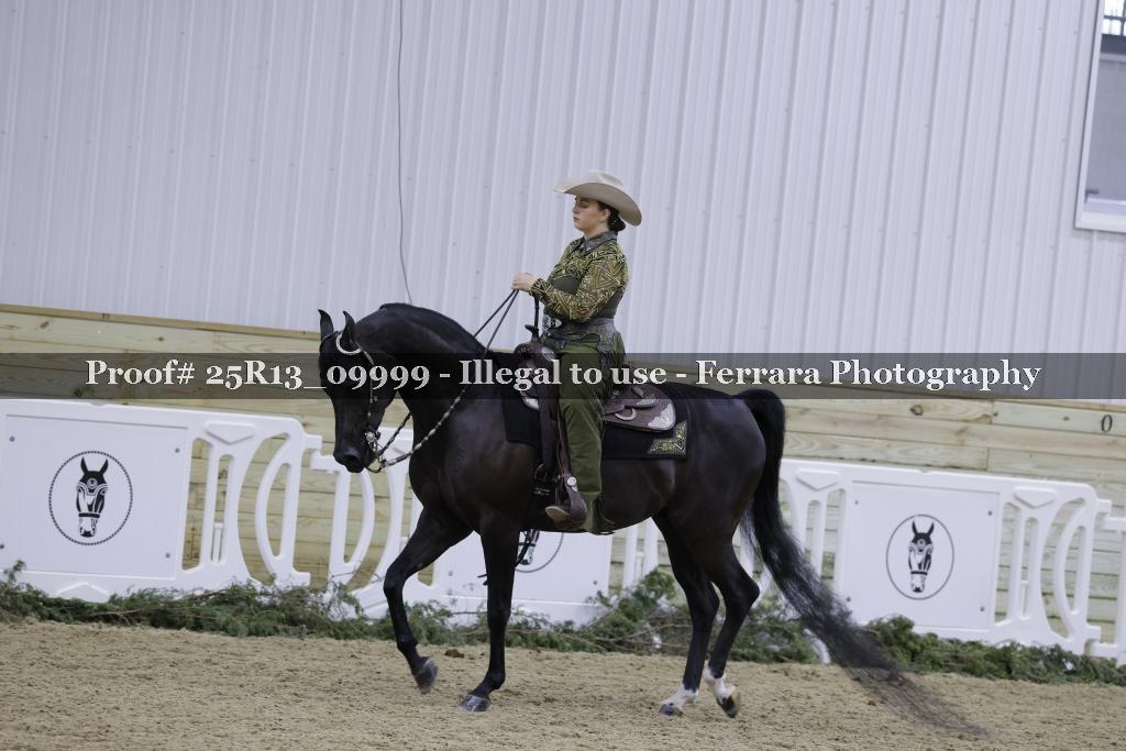 Proof 25R13_09999