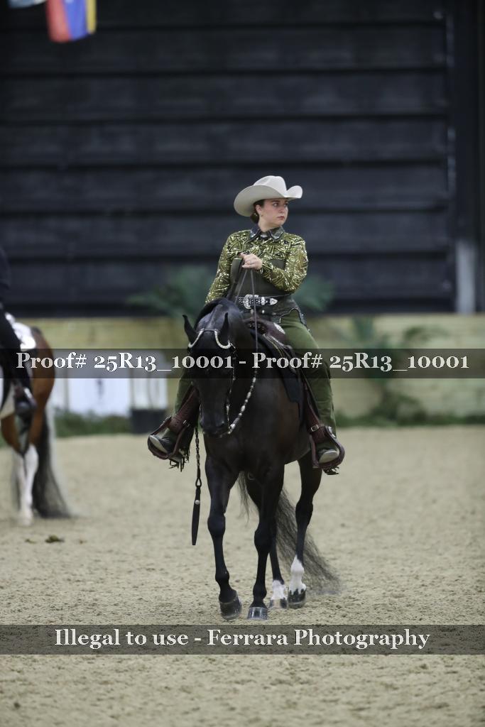 Proof 25R13_10001