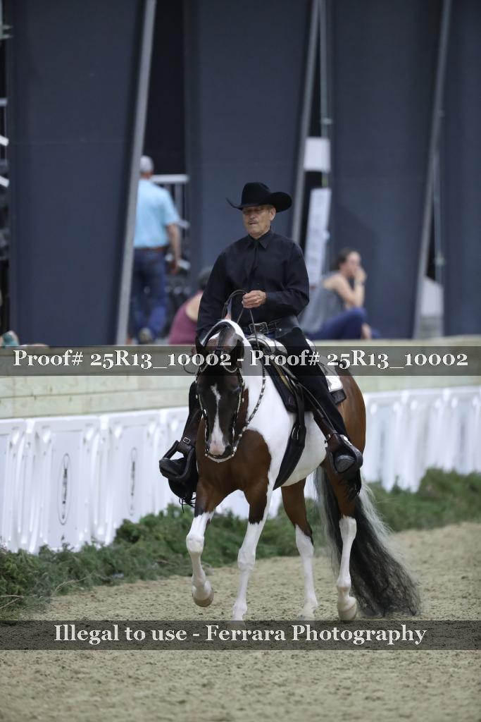 Proof 25R13_10002