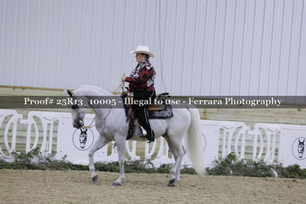 Proof 25R13_10005