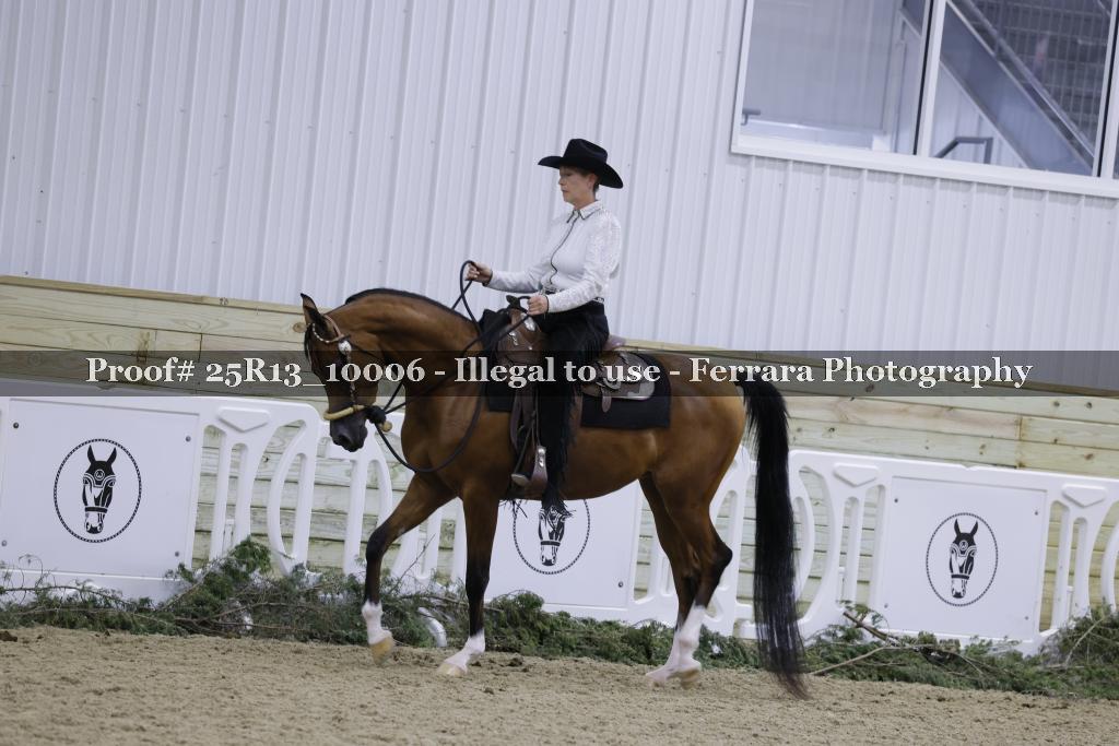 Proof 25R13_10006
