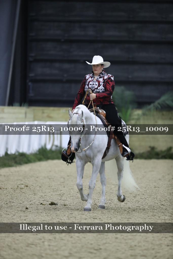 Proof 25R13_10009