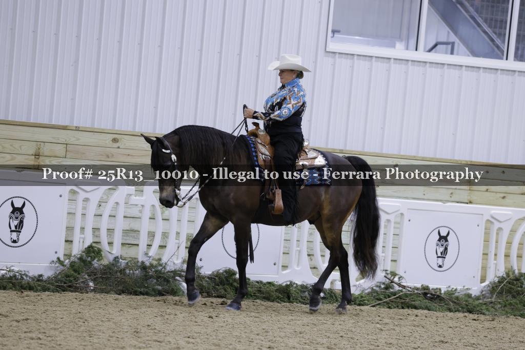 Proof 25R13_10010