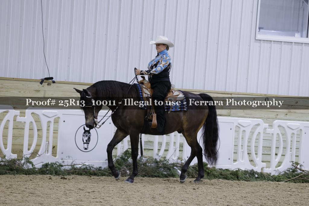 Proof 25R13_10011