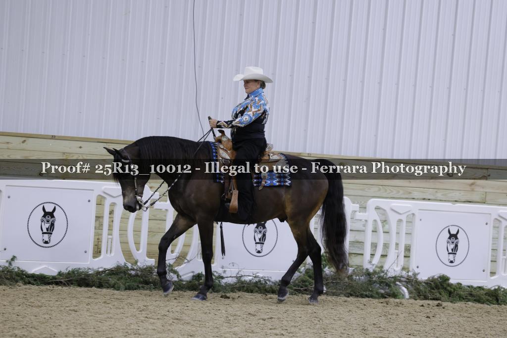 Proof 25R13_10012