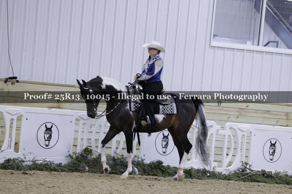 Proof 25R13_10015