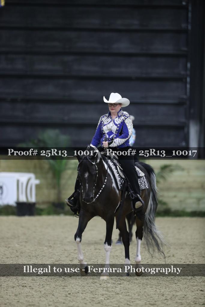Proof 25R13_10017