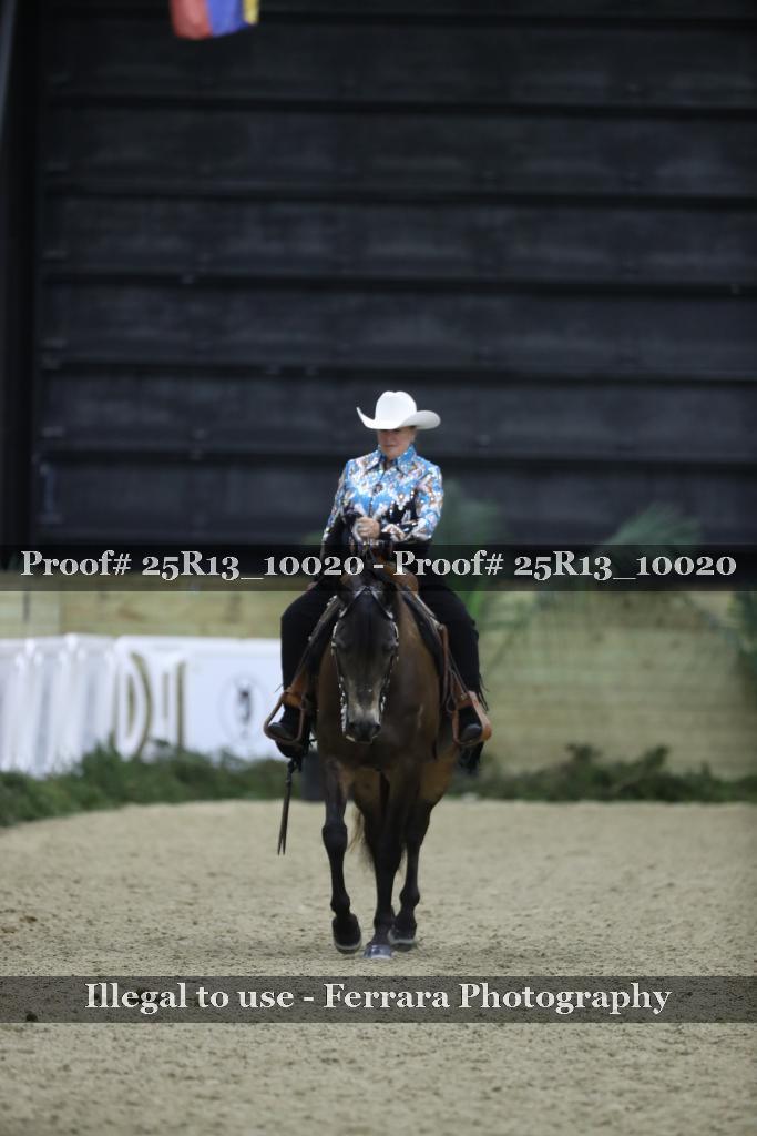 Proof 25R13_10020