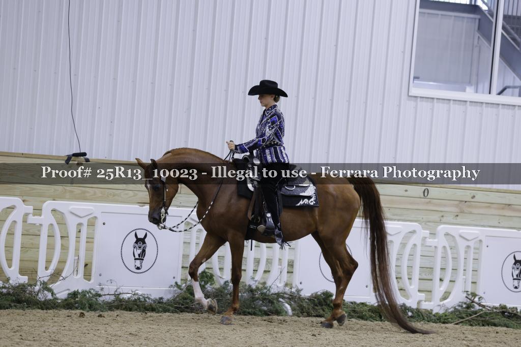 Proof 25R13_10023
