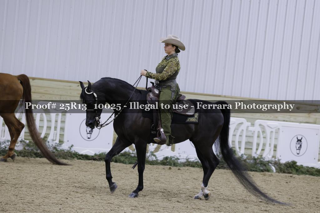 Proof 25R13_10025