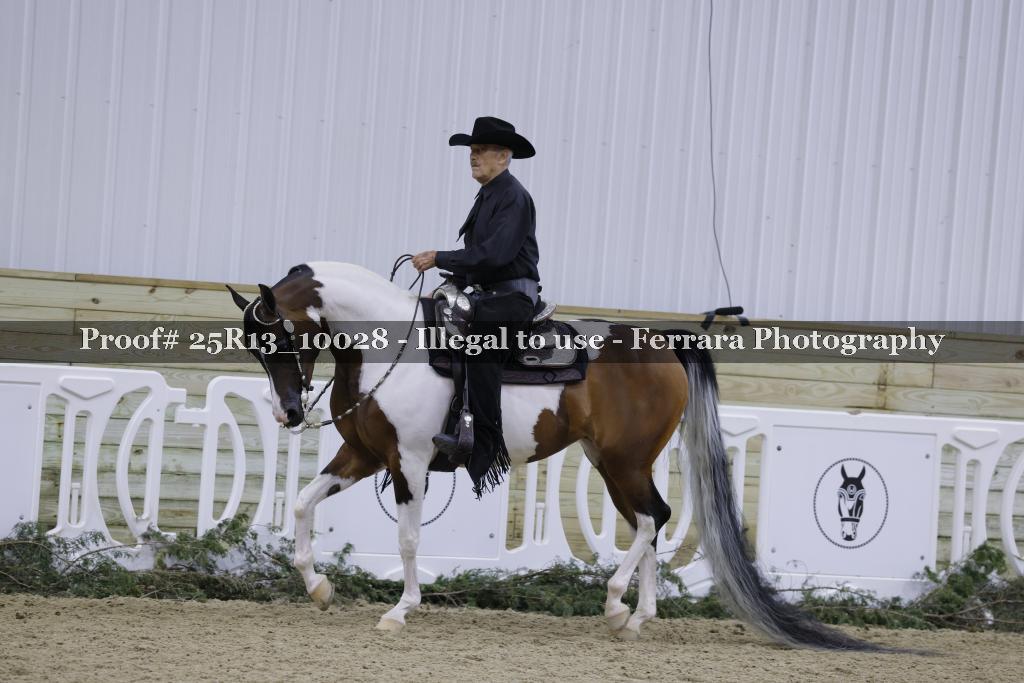 Proof 25R13_10028