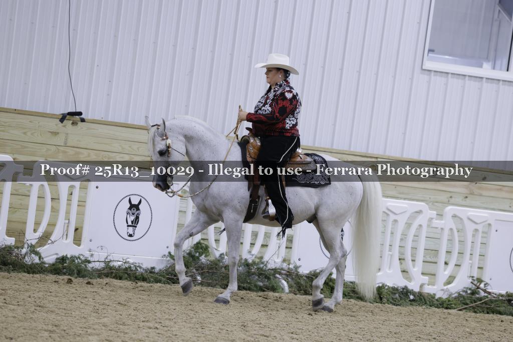 Proof 25R13_10029